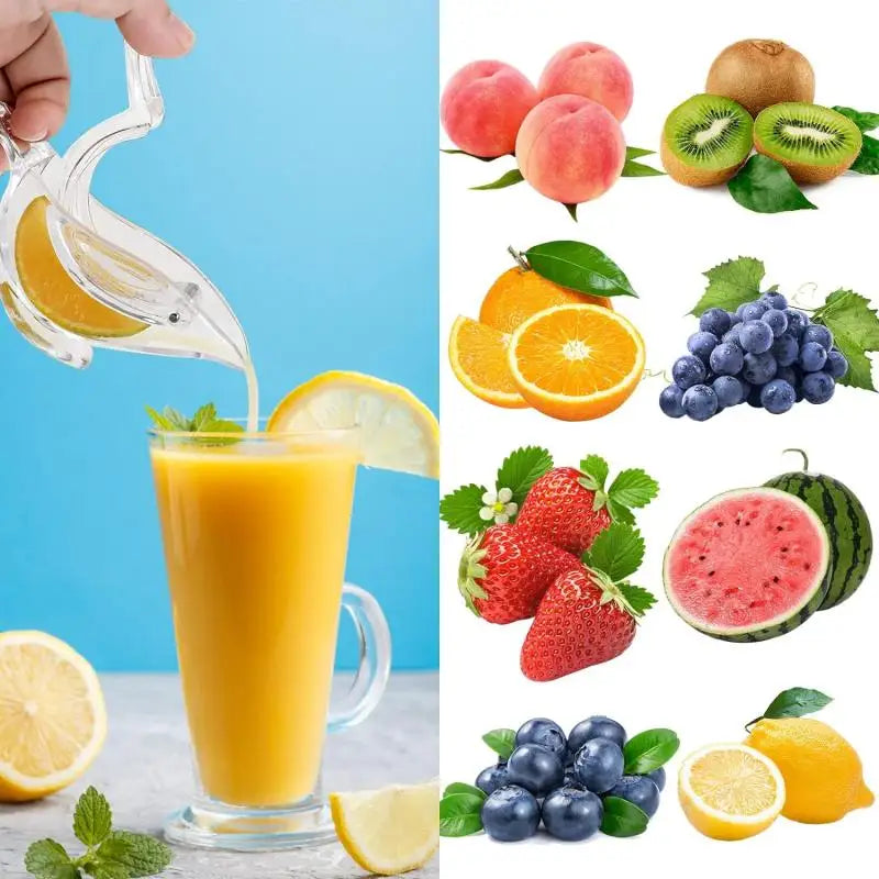 Home Slip Tool Press Squeeze Fruit Manual Juicer